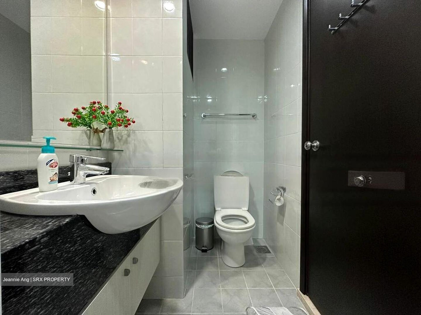 Amaninda (D11), Condominium #622925721